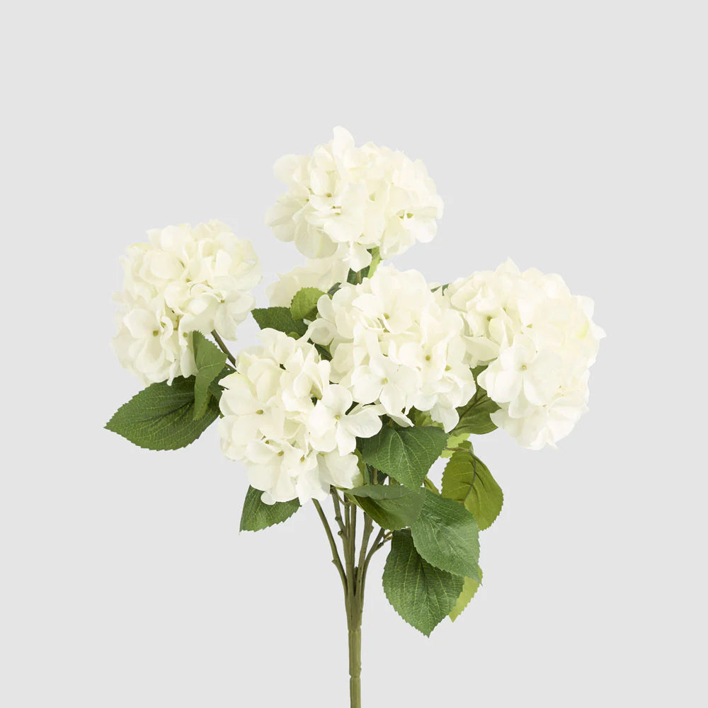 Hydrangea Bush with 7 Heads White
