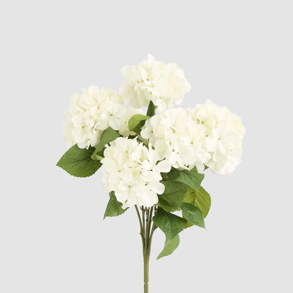 Hydrangea Bush with 7 Heads White