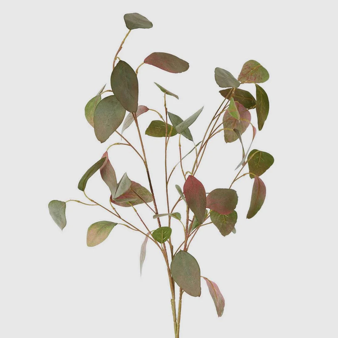 Eucalyptus Spray With 42 Leaves Green & Pink