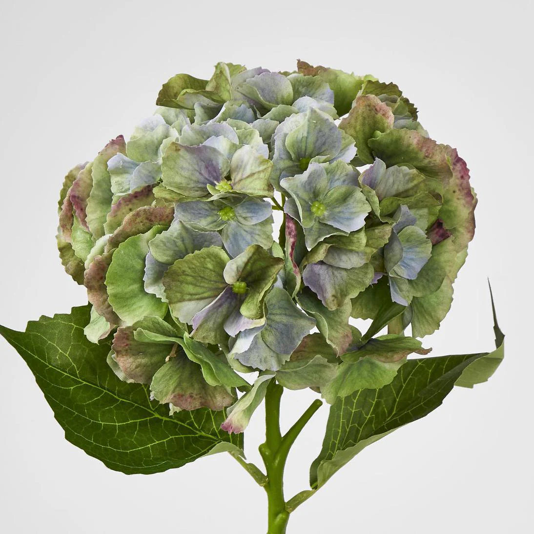 Susan Hydrangea Soft Touch Antique Green 52cm