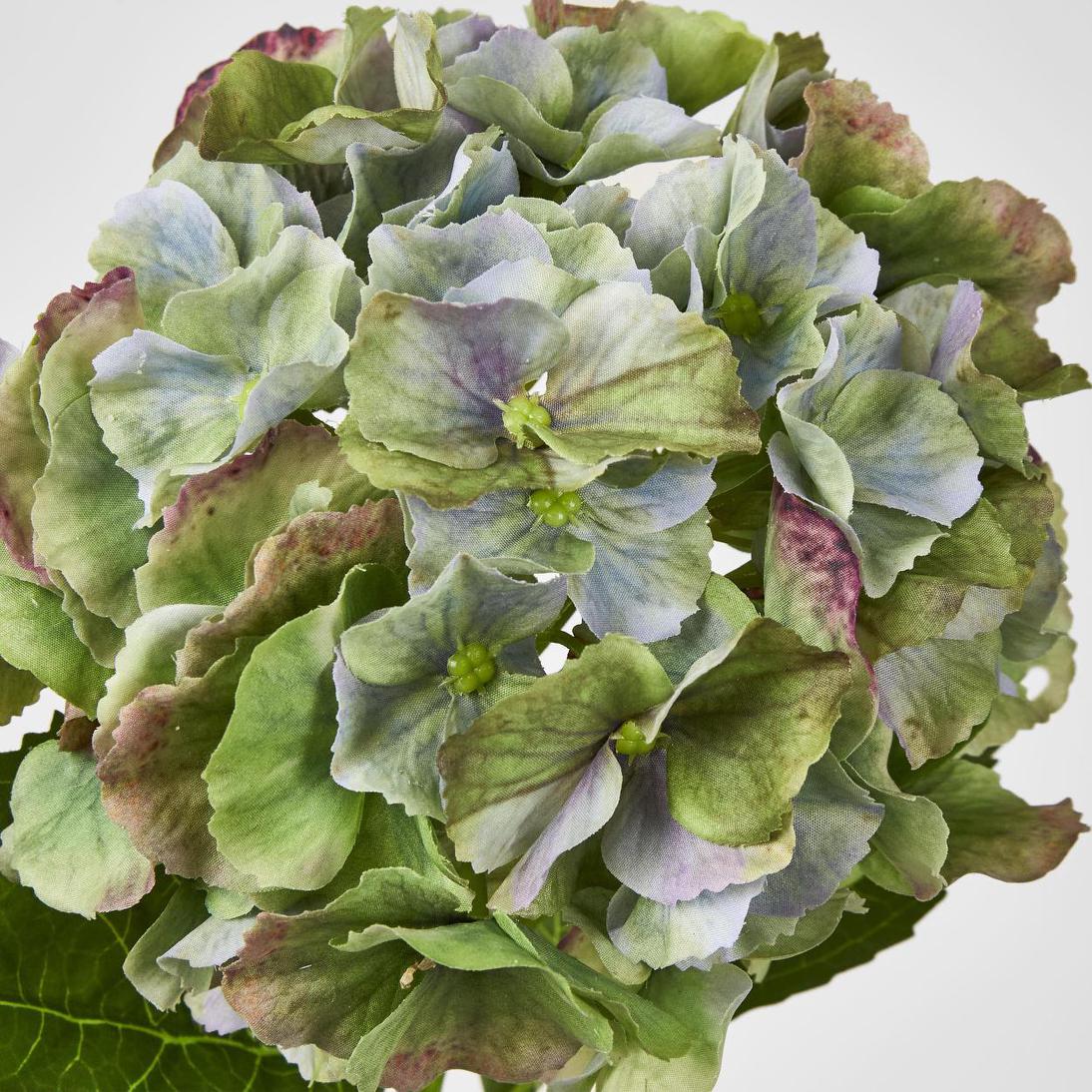 Susan Hydrangea Soft Touch Antique Green 52cm