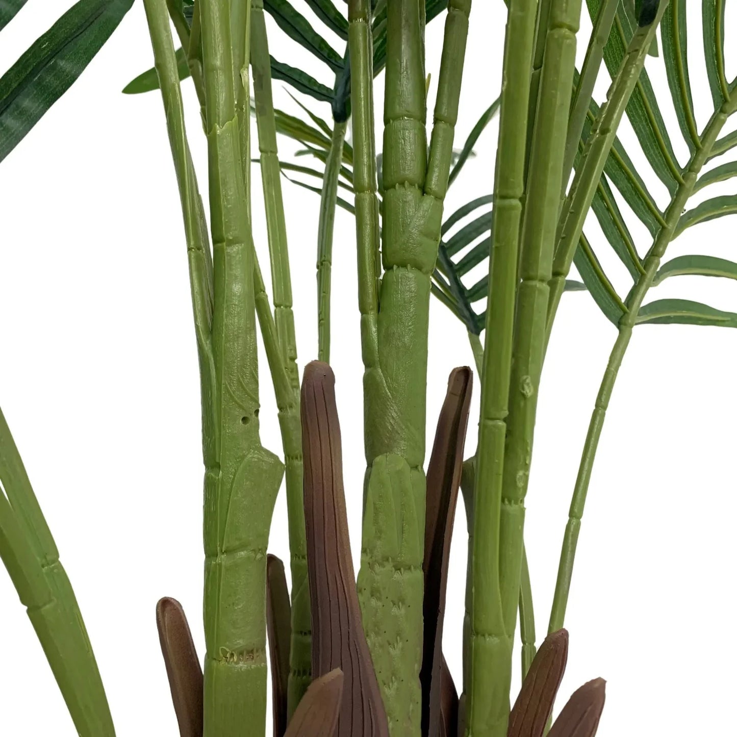 Palm Cane Green 80x80x152cm